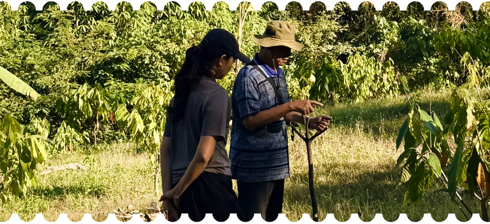 Farmers walking through an Indonesian cocoa plantation