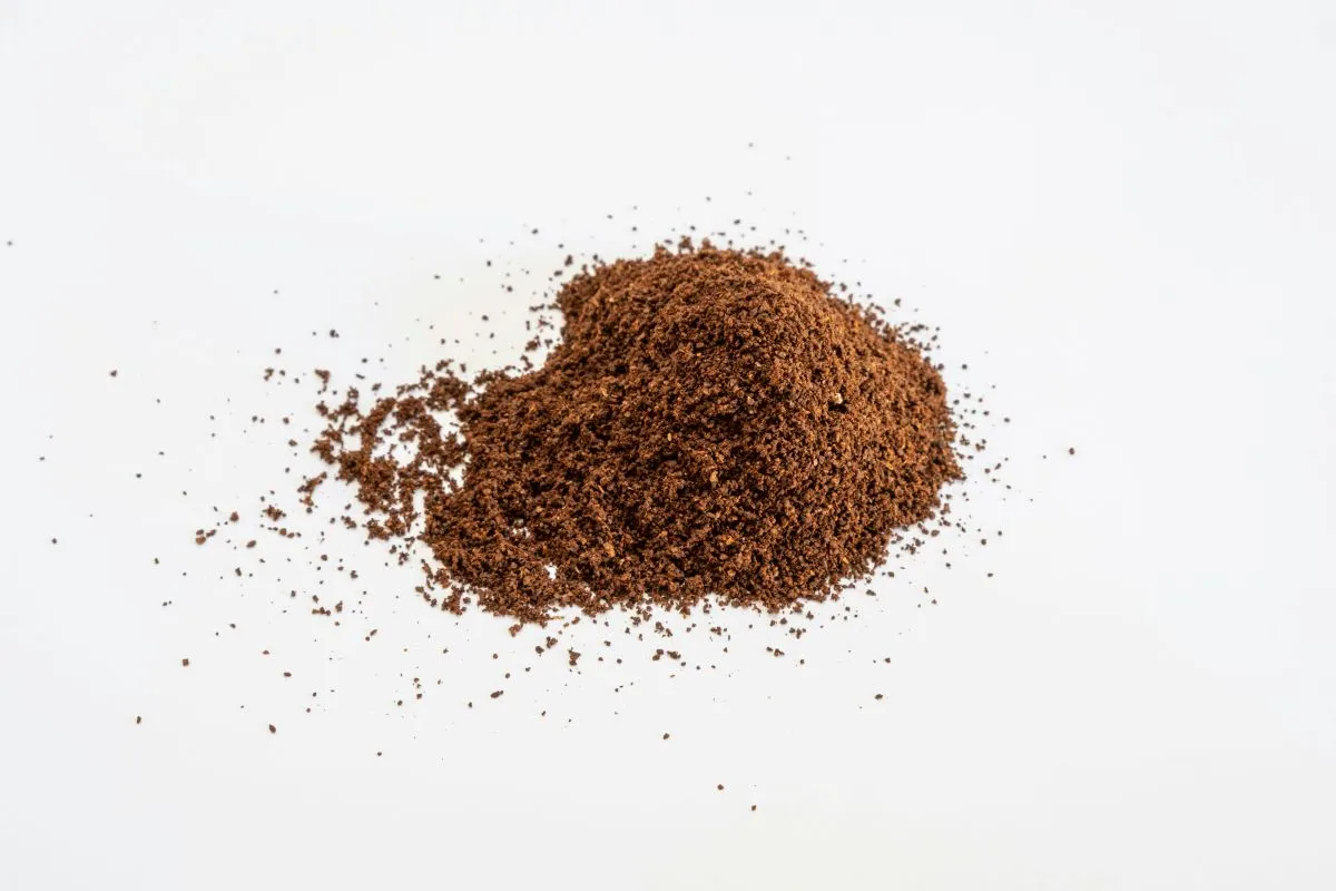 Why Sorghum Sugar cover