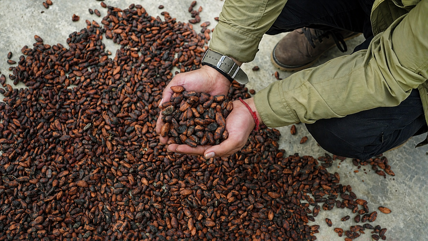 Rielle cocoa being crafted — small-batch production from bean to powder